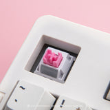 LOGA  MECHANICAL KEYBOARD SWITCHES : NOMYEN / CHATHAI / NOMSOD (35 pcs / box )