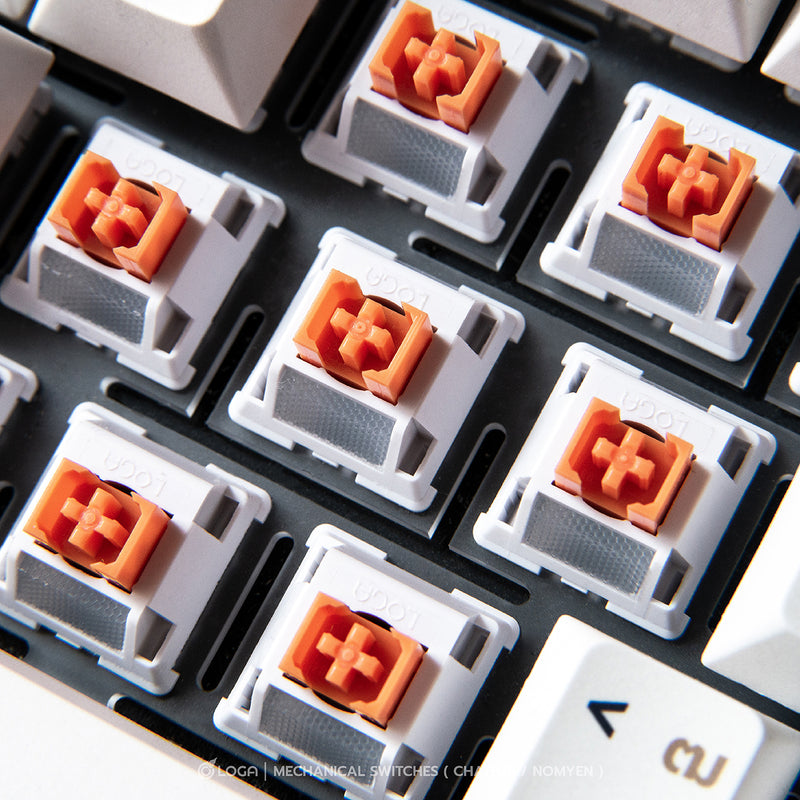 LOGA  MECHANICAL KEYBOARD SWITCHES : NOMYEN / CHATHAI / NOMSOD (35 pcs / box )