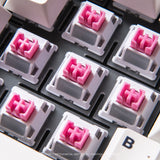 LOGA  MECHANICAL KEYBOARD SWITCHES : NOMYEN / CHATHAI / NOMSOD (35 pcs / box )