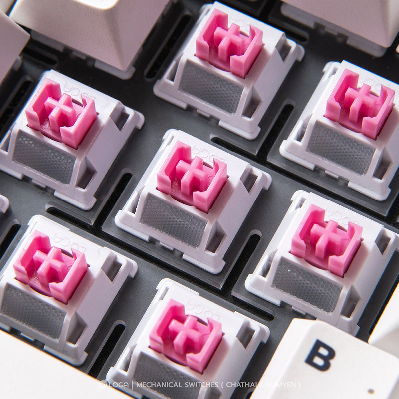 LOGA  MECHANICAL KEYBOARD SWITCHES : NOMYEN / CHATHAI / NOMSOD (35 pcs / box )
