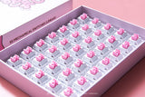 LOGA  MECHANICAL KEYBOARD SWITCHES : NOMYEN / CHATHAI / NOMSOD (35 pcs / box )