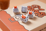 LOGA  MECHANICAL KEYBOARD SWITCHES : NOMYEN / CHATHAI / NOMSOD (35 pcs / box )