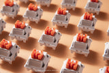 LOGA  MECHANICAL KEYBOARD SWITCHES : NOMYEN / CHATHAI / NOMSOD (35 pcs / box )