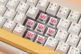 LOGA Yaksa 65AL Aluminum wireless mechanical keyboard : Vanilla Caramel Biscuits