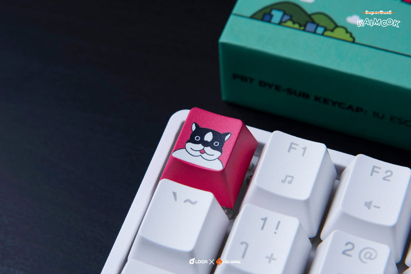 LOGA X Kaimook : Pbt dyesub keycap ( mini set )
