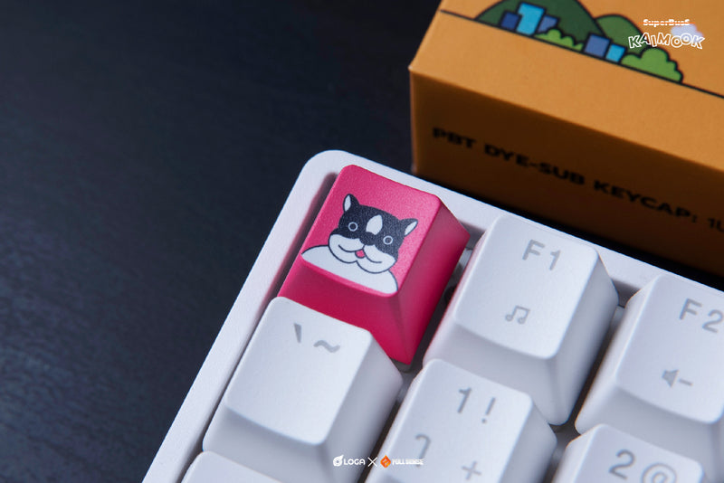LOGA X Kaimook : Pbt dyesub keycap ( mini set )